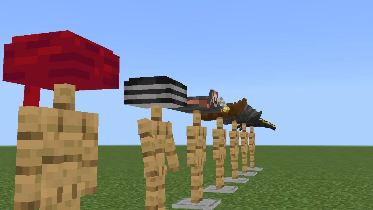 Pirate hat — screenshot 1