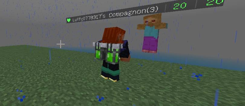 My Compagnon — screenshot 4