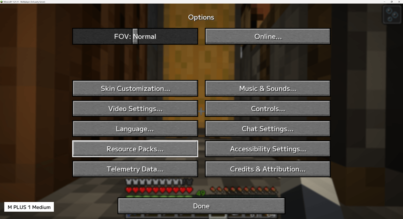 Minecraft-MPLUS1-en.png