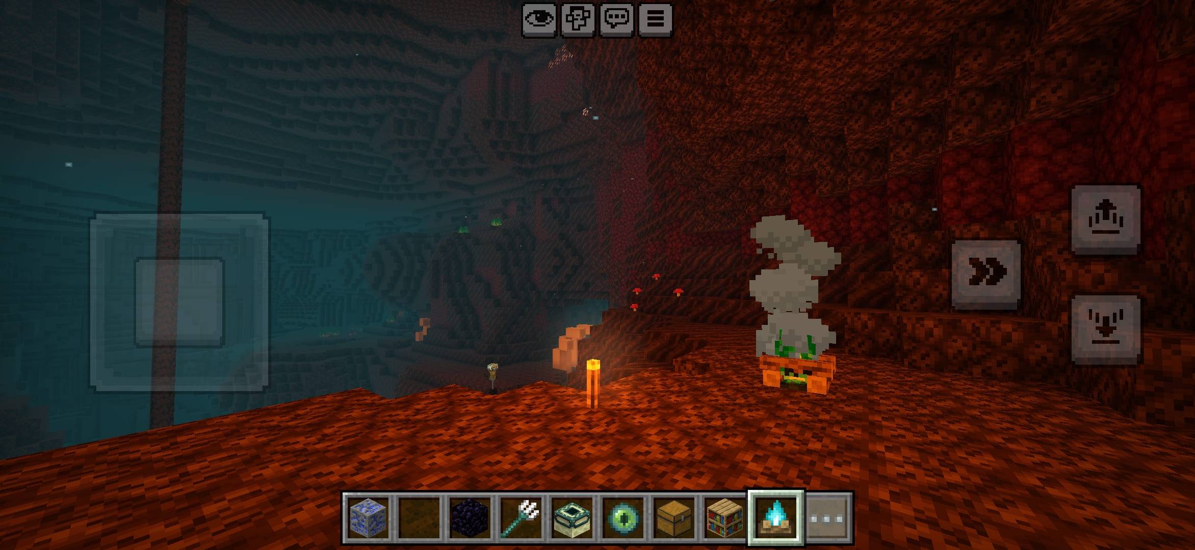 Thumbnail 1000088646.jpg