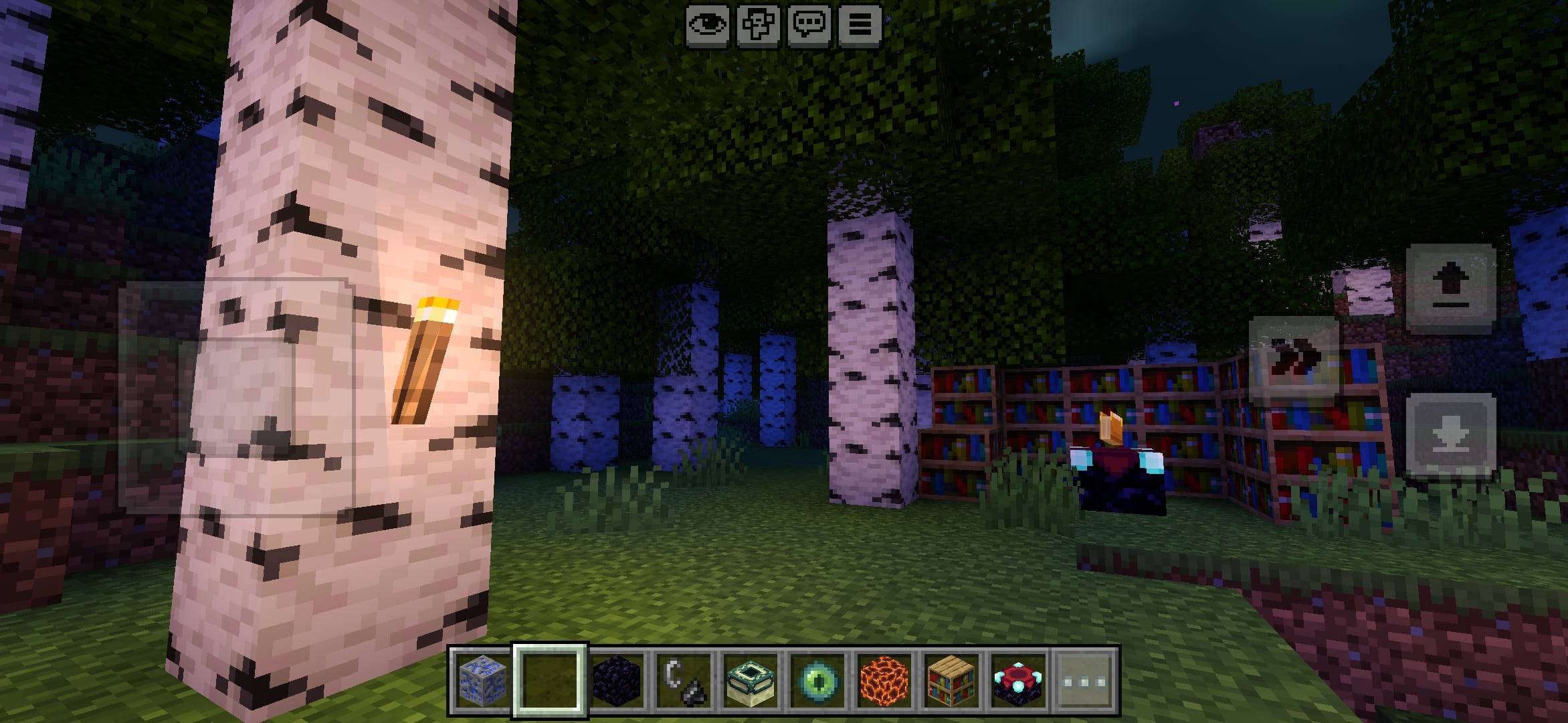 Thumbnail 1000088649.jpg
