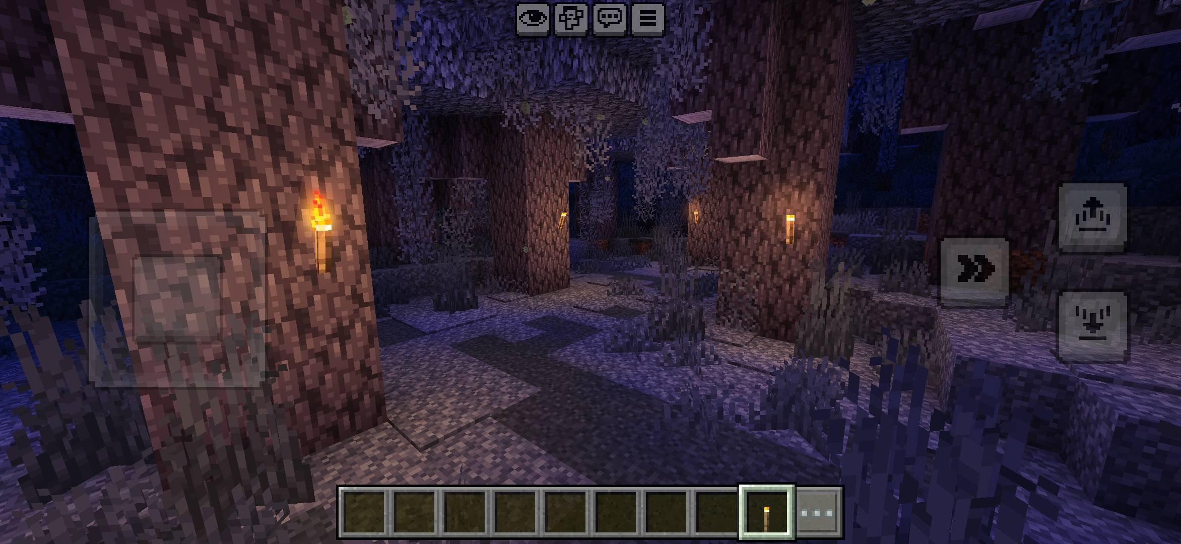 Thumbnail 1000088634.jpg