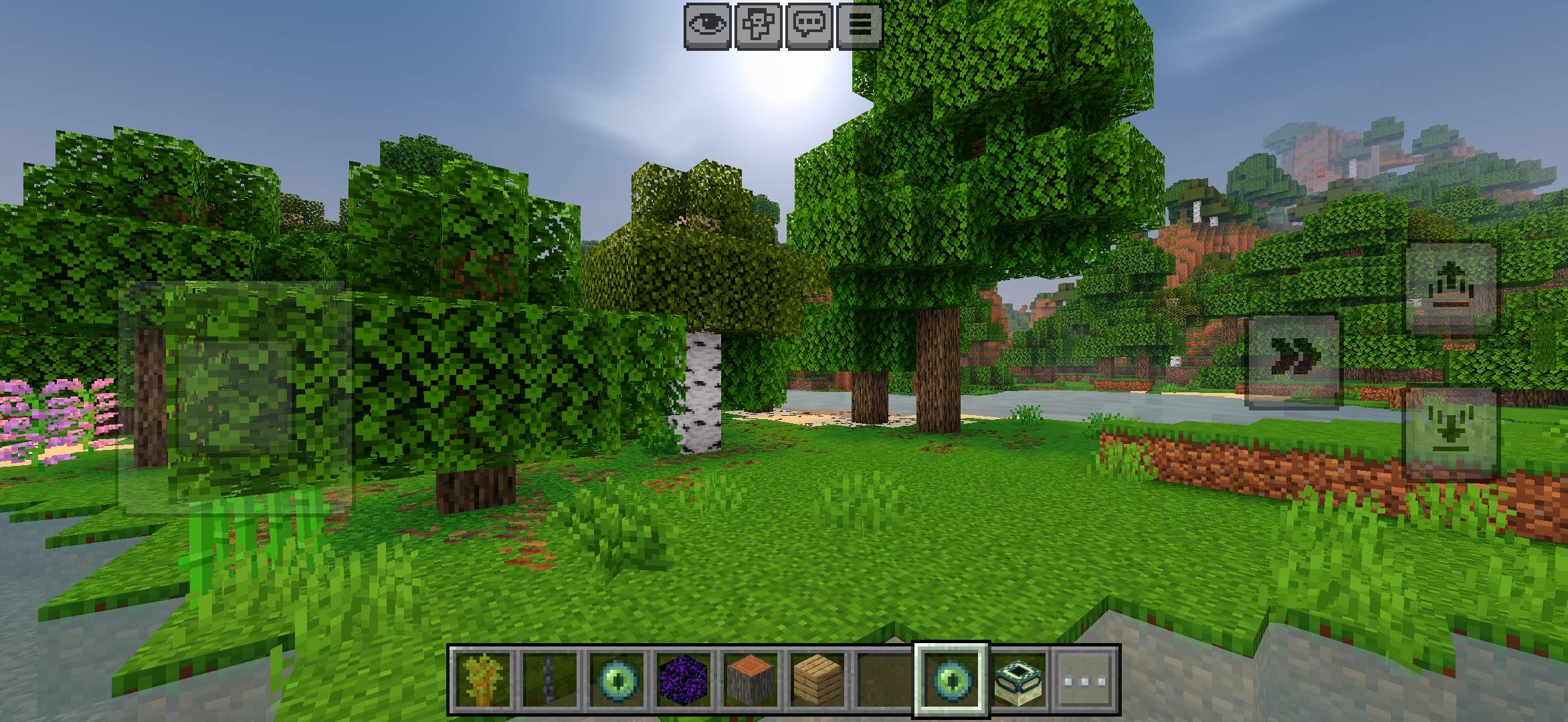 Thumbnail 1000088700.jpg