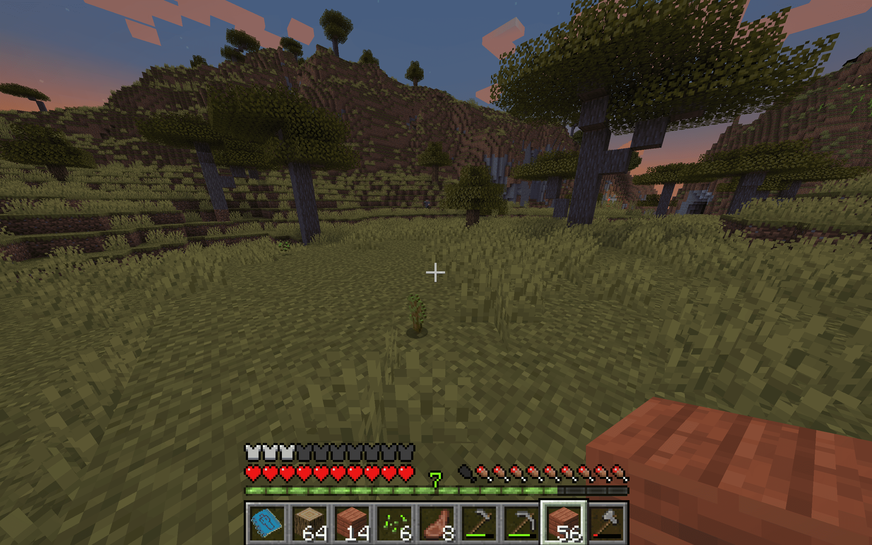 screenshot thumbnail