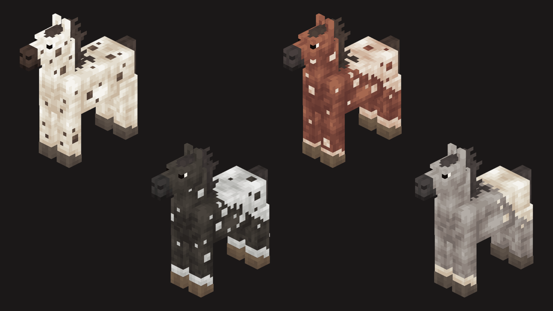 appaloosa.png