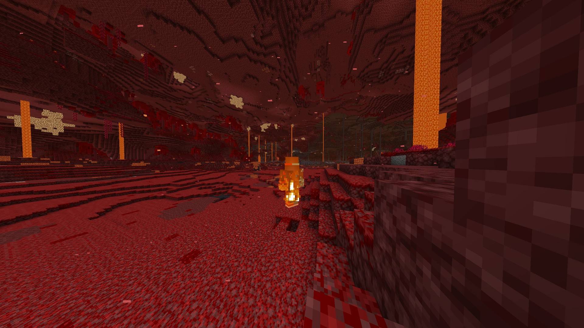 No Fog - All Biomes — screenshot 5