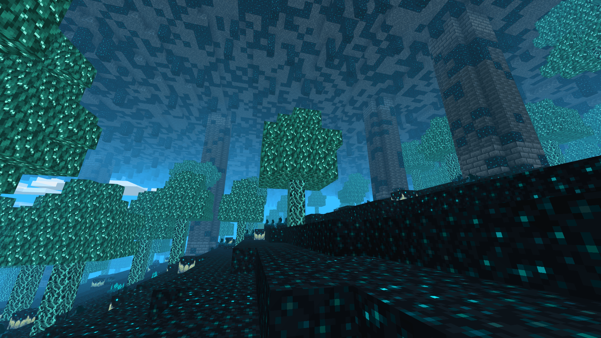 Thumbnail warden_dimension_17.png