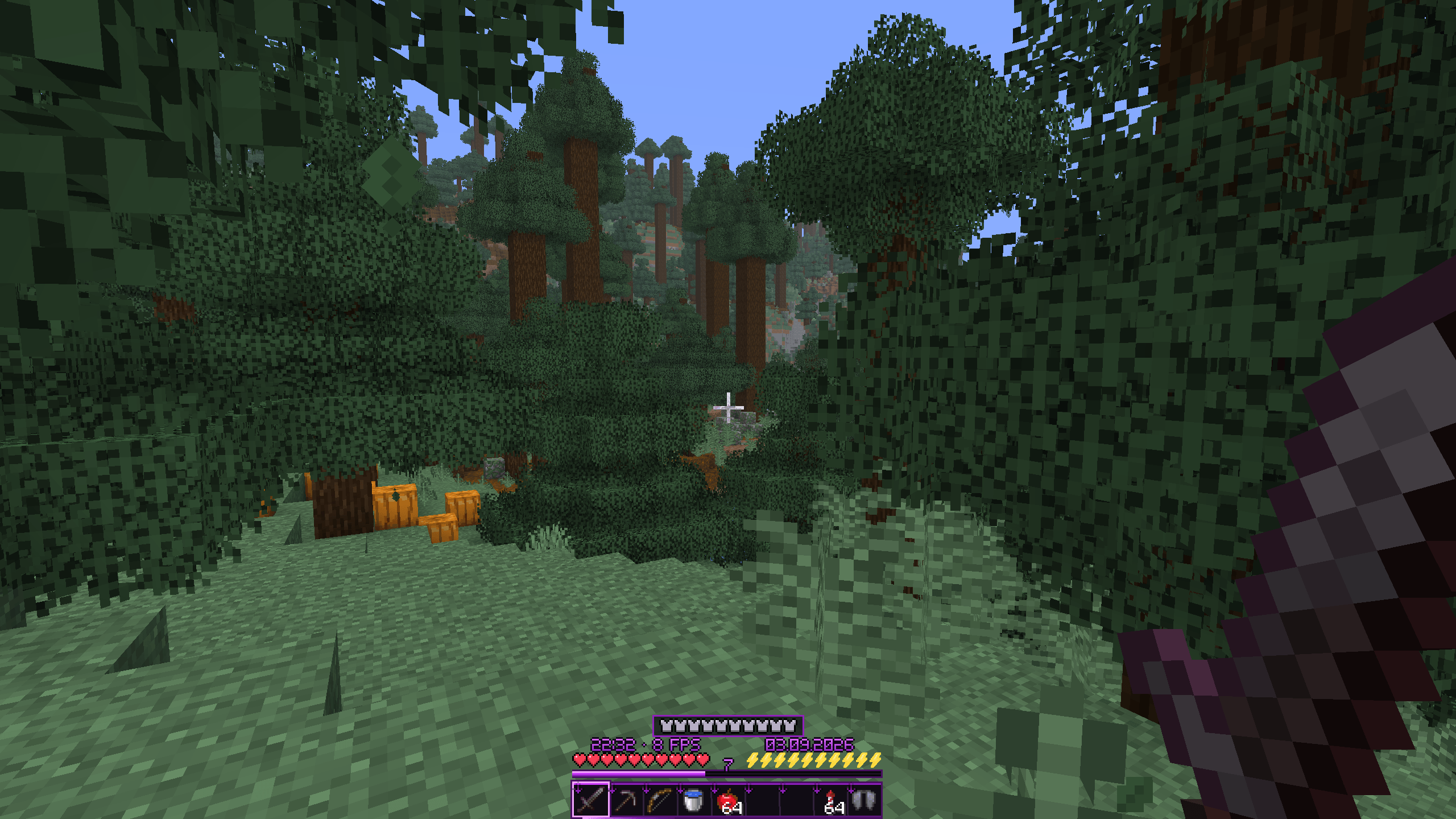 Thumbnail The HUD at 50% scale, keeping the hotbar, health, hunger, armor, XP, and info fields visible while leaving more room for the game world.