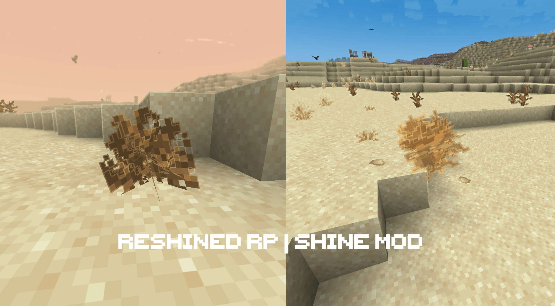 Tumbleweed comparison