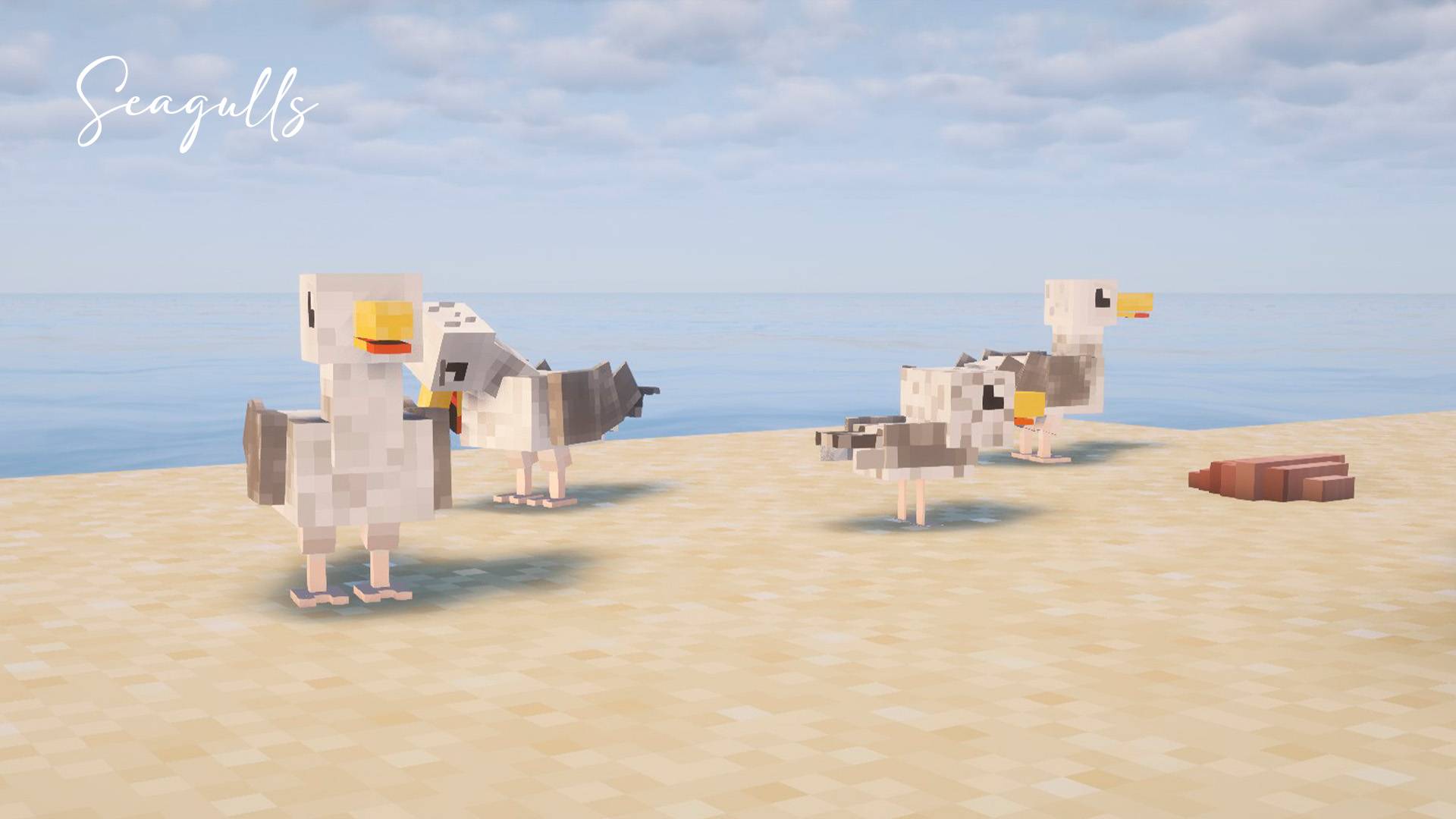 Be careful when holding food in your hand, seagulls are excellent thieves.
