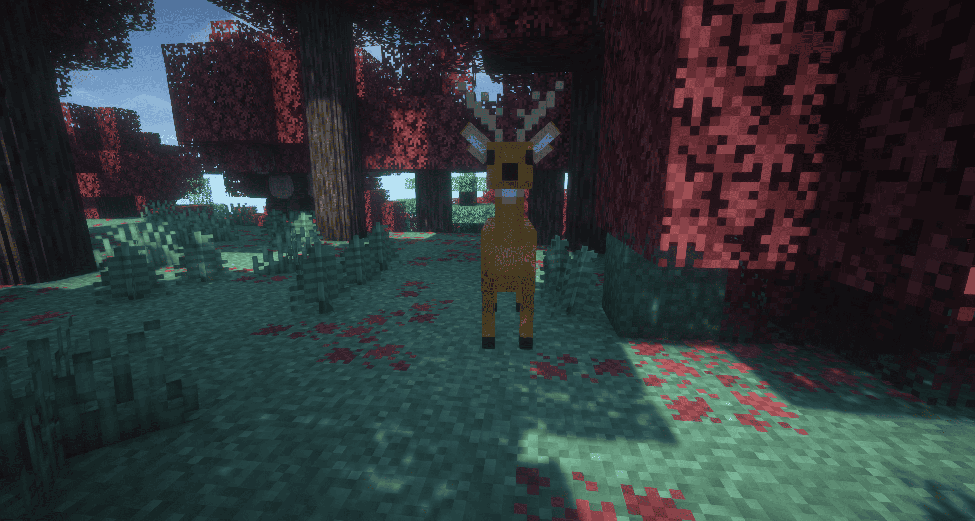 Thumbnail 2026-09-04_17.26.48.png