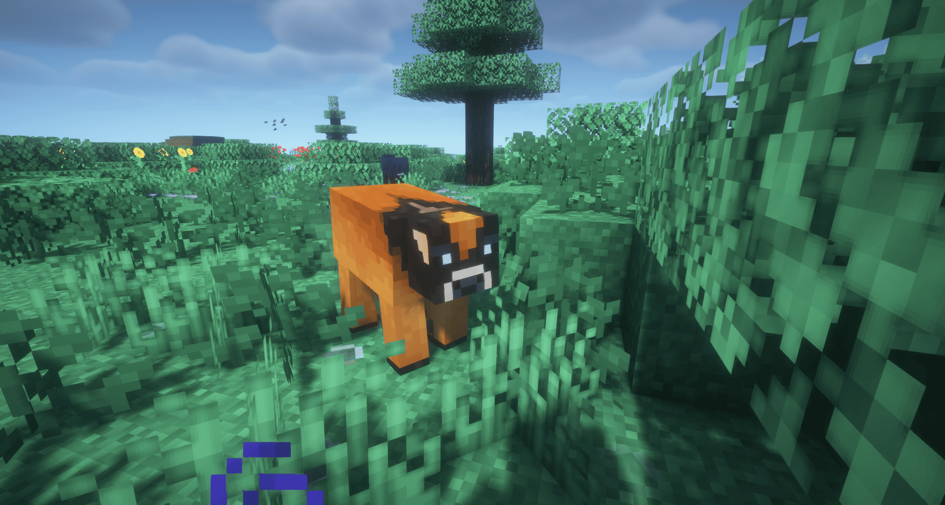 Thumbnail 2026-09-04_19.49.26.png