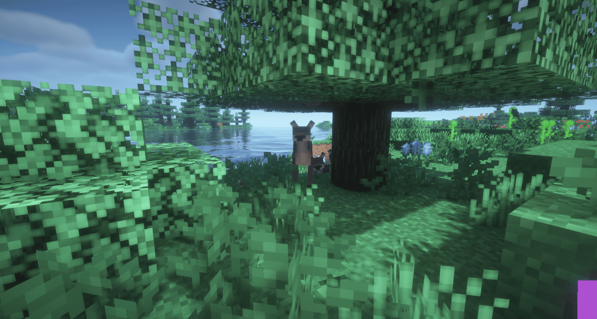 Thumbnail 2026-09-04_19.56.14.png