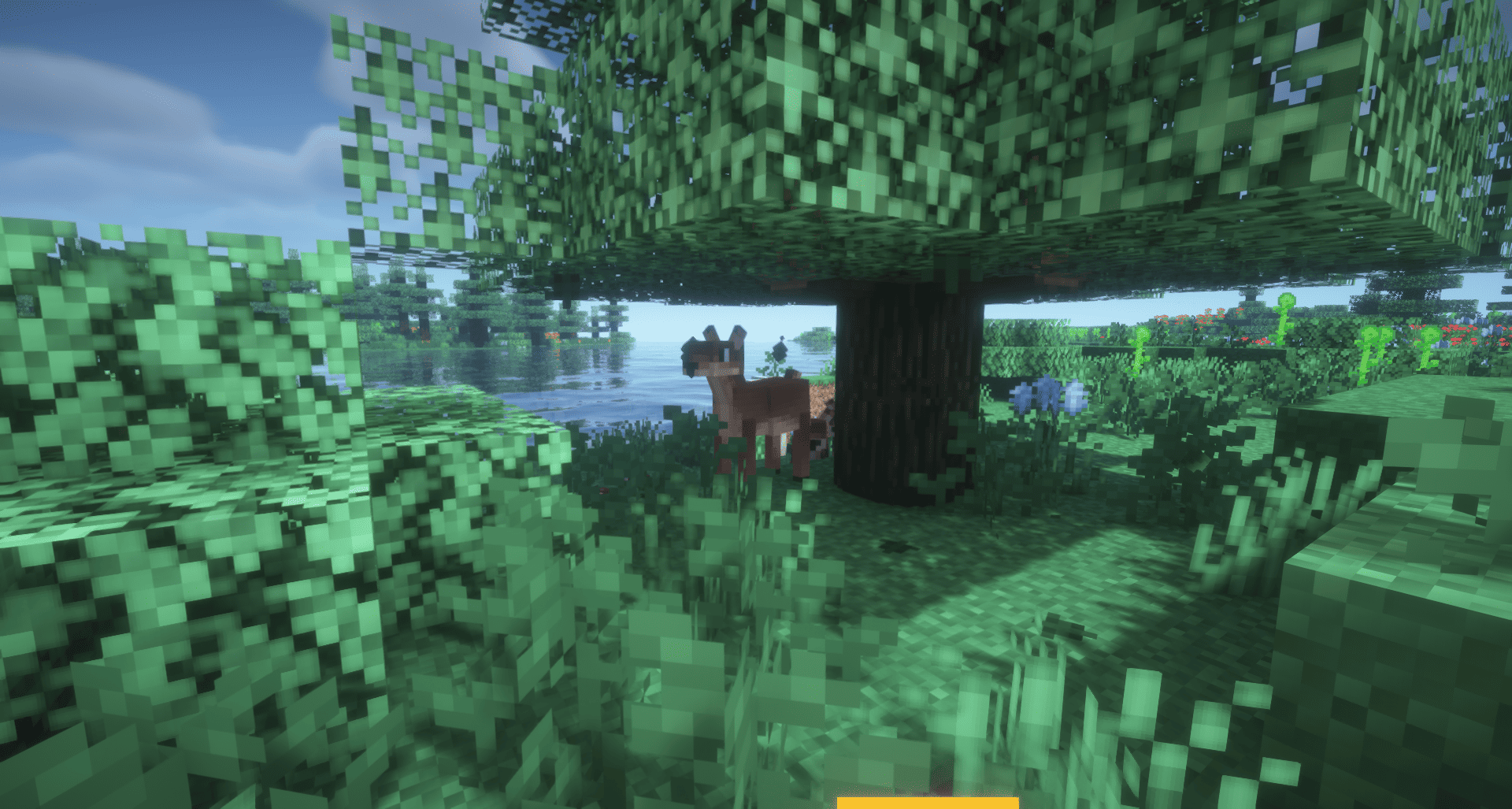 Thumbnail 2026-09-04_19.56.17.png