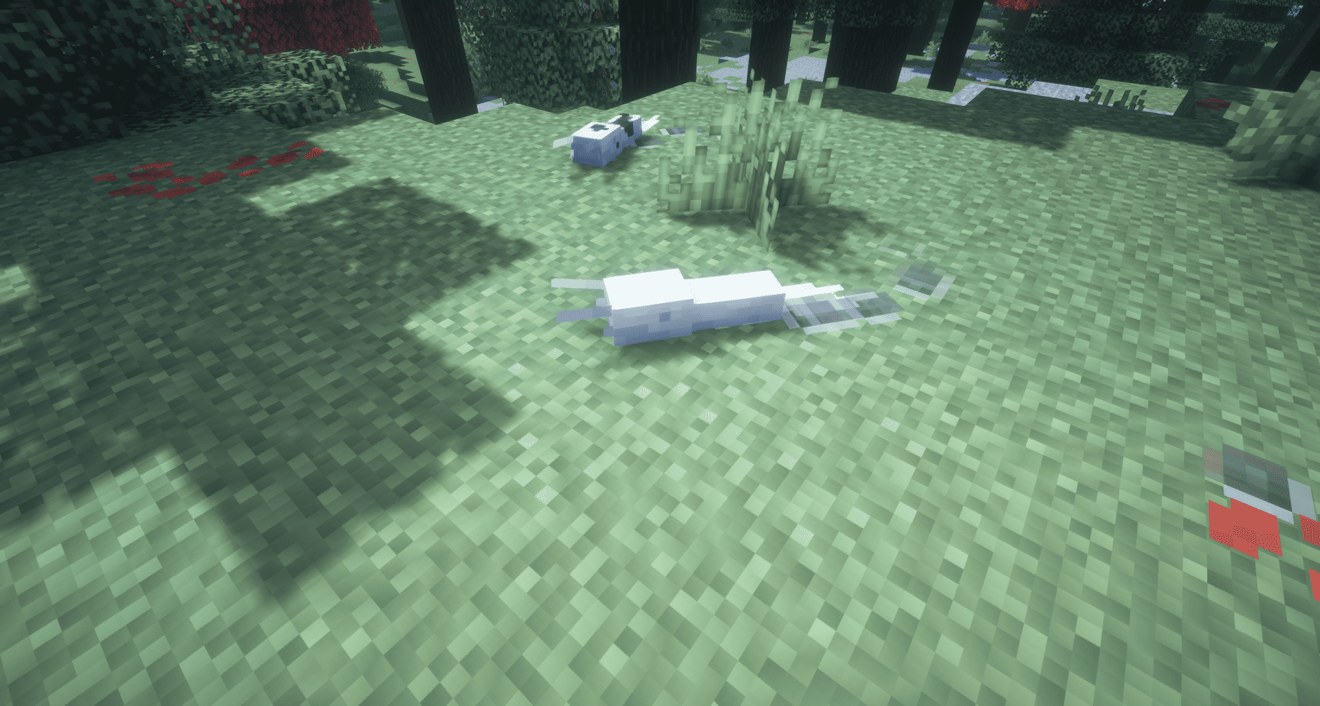 Thumbnail 2026-09-04_19.58.44.png