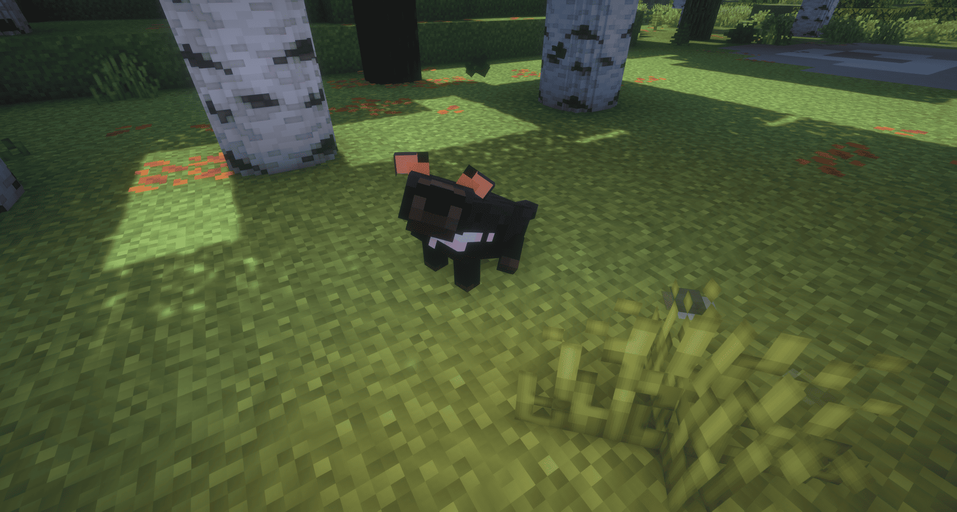 Thumbnail 2026-09-04_20.03.05.png