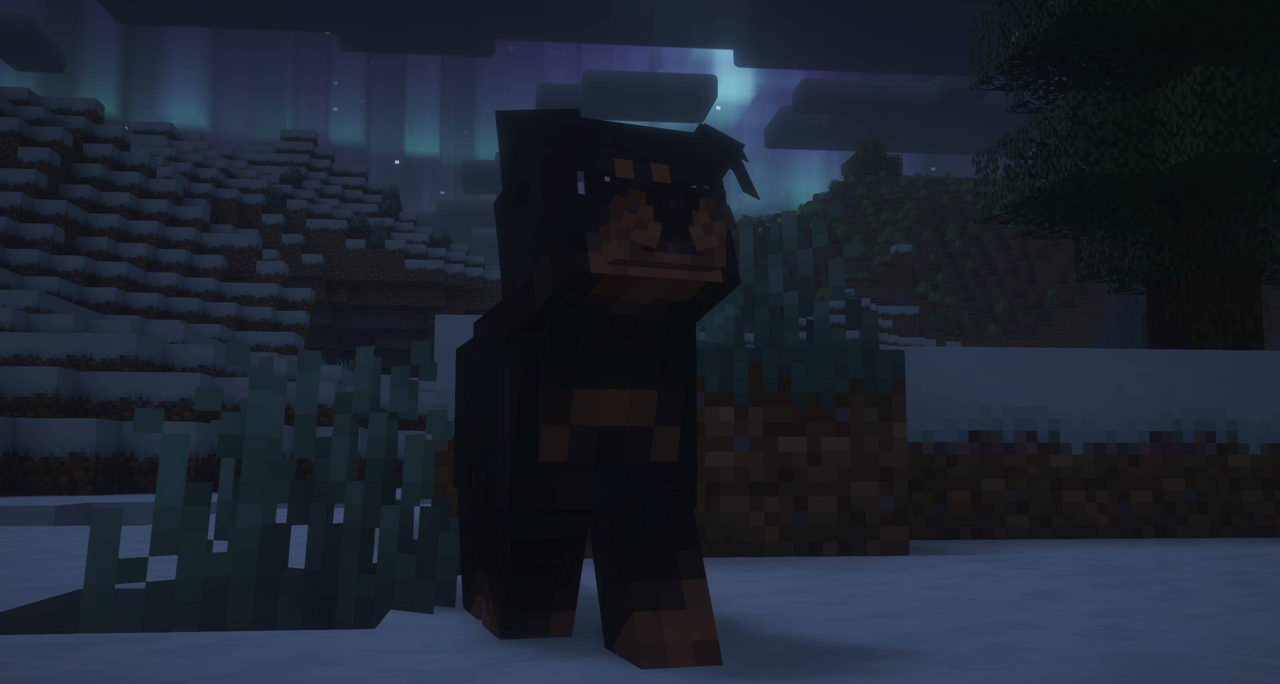 rottie-jpg.jpg