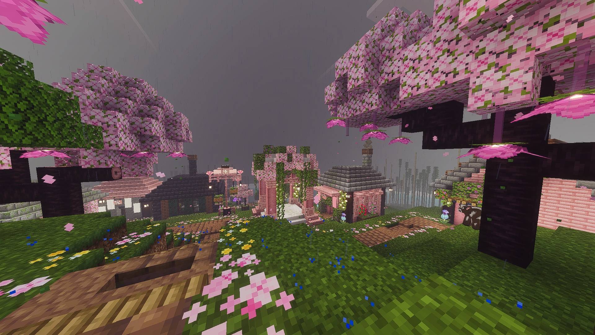 Screenshot 2026-09-05 100331.jpg