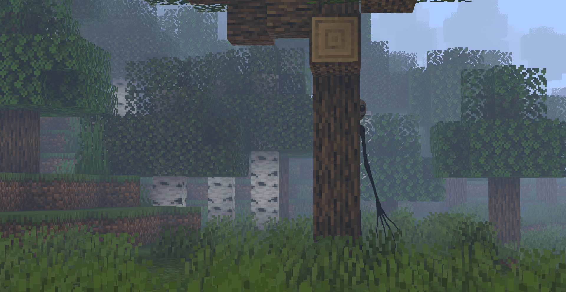 stalker 1.png