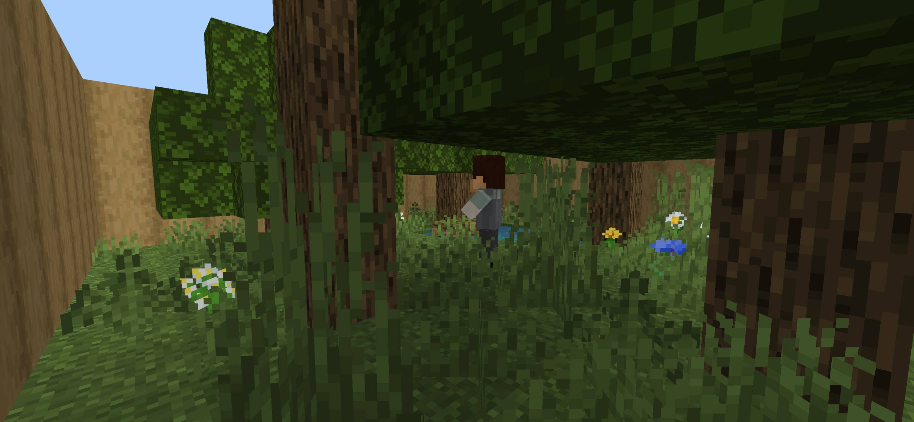 Screenshot_20260906-083923.jpg