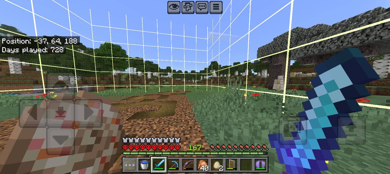 Chunk Border — screenshot 2