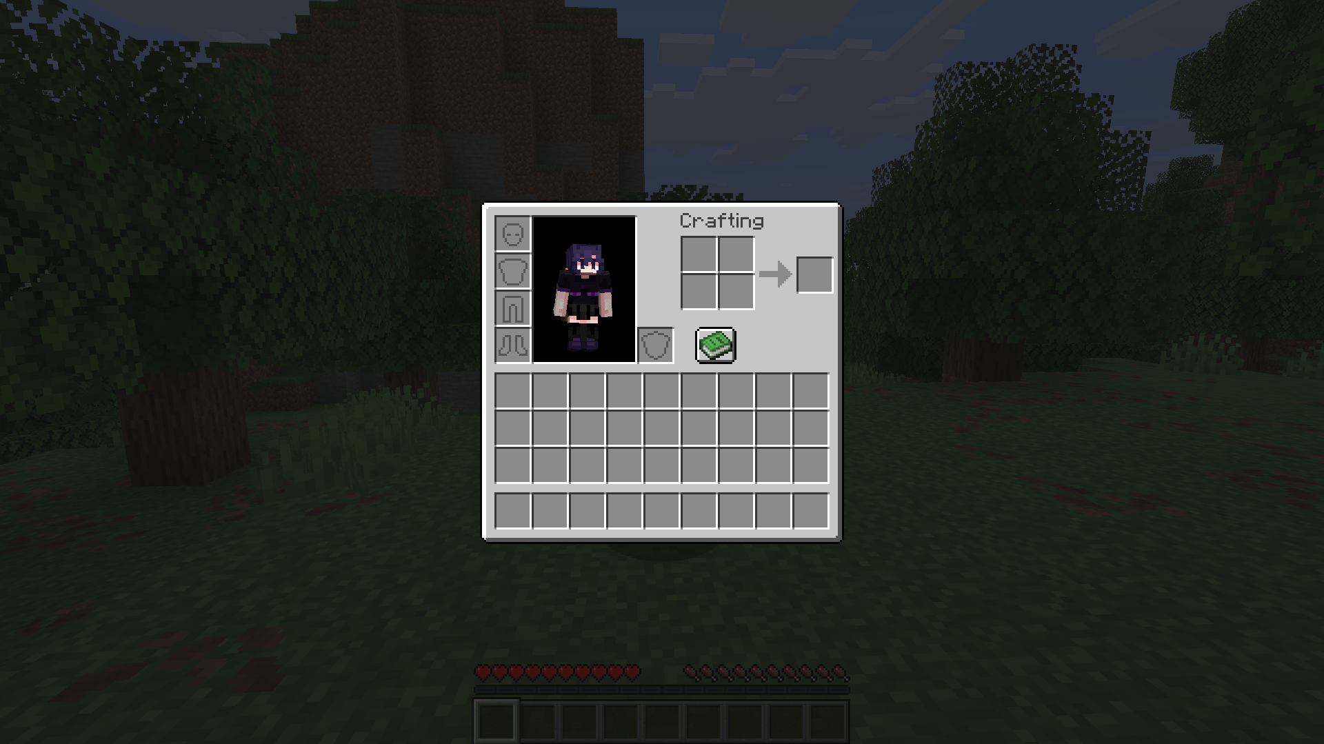 A screenshot of the player sneaking in the inventory.