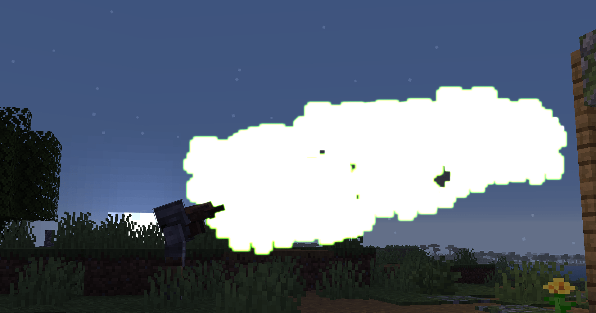5.png