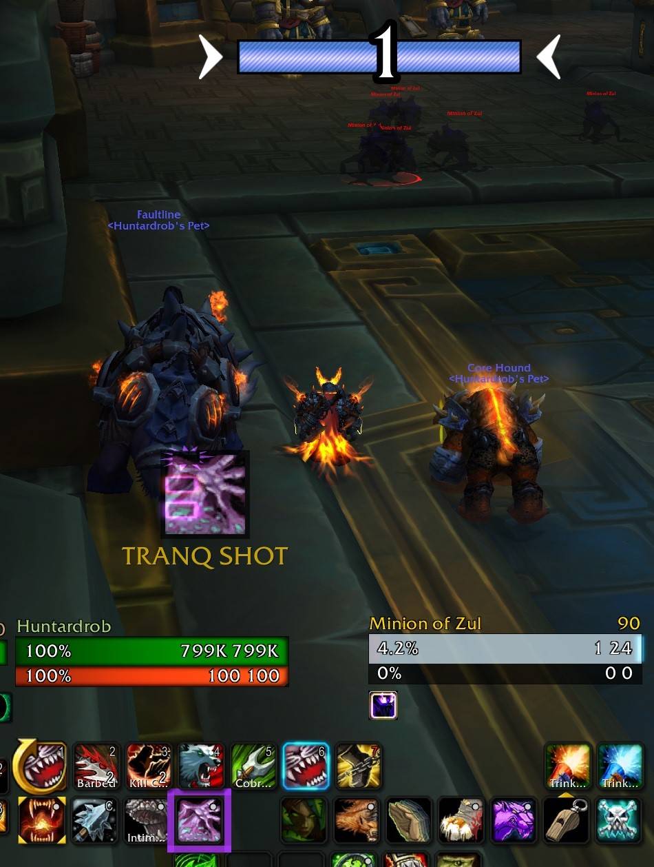 TranqWatch In-Game Test Screenshot.jpg