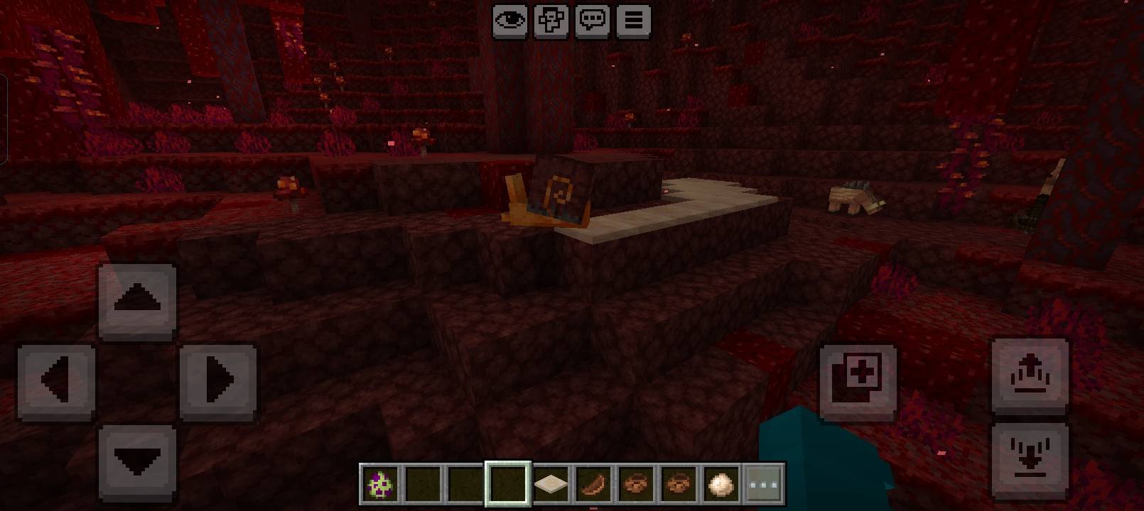 Wild & Wonders — screenshot 3