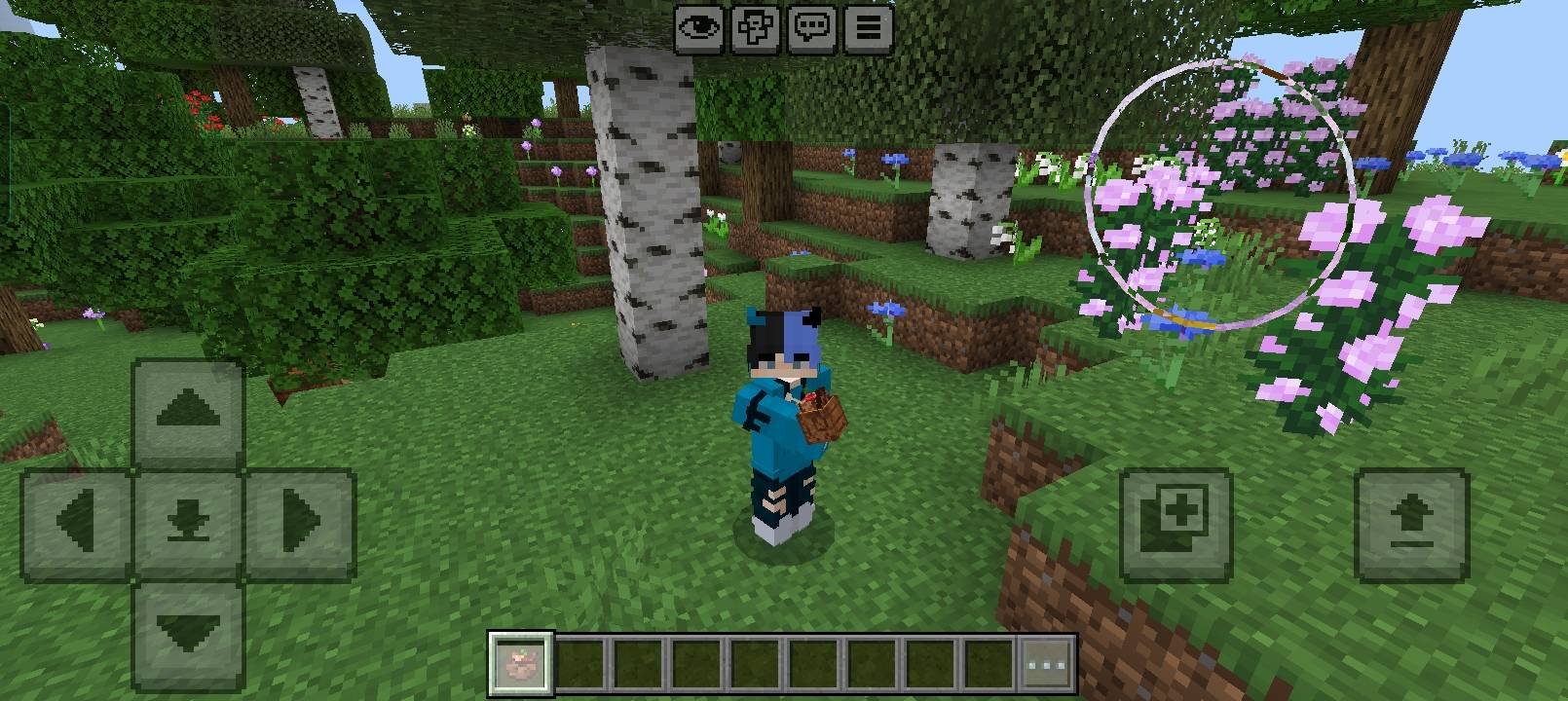 Wild & Wonders — screenshot 5