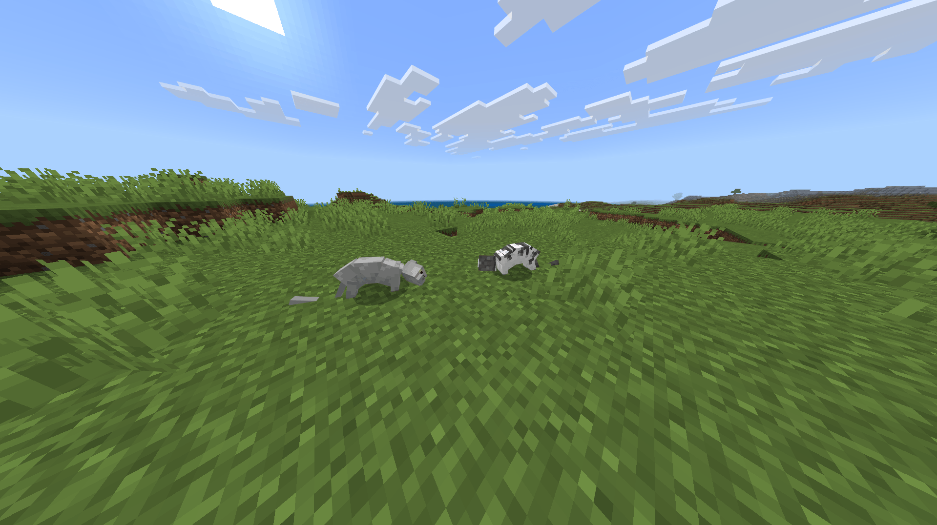 Cat Fighting - Bedrock Edition — screenshot 1