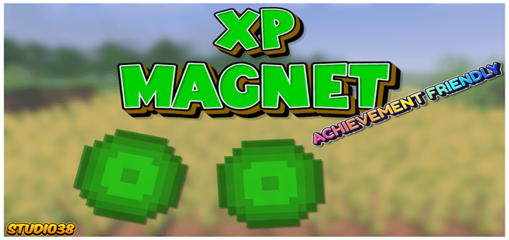 XP Magnet 38