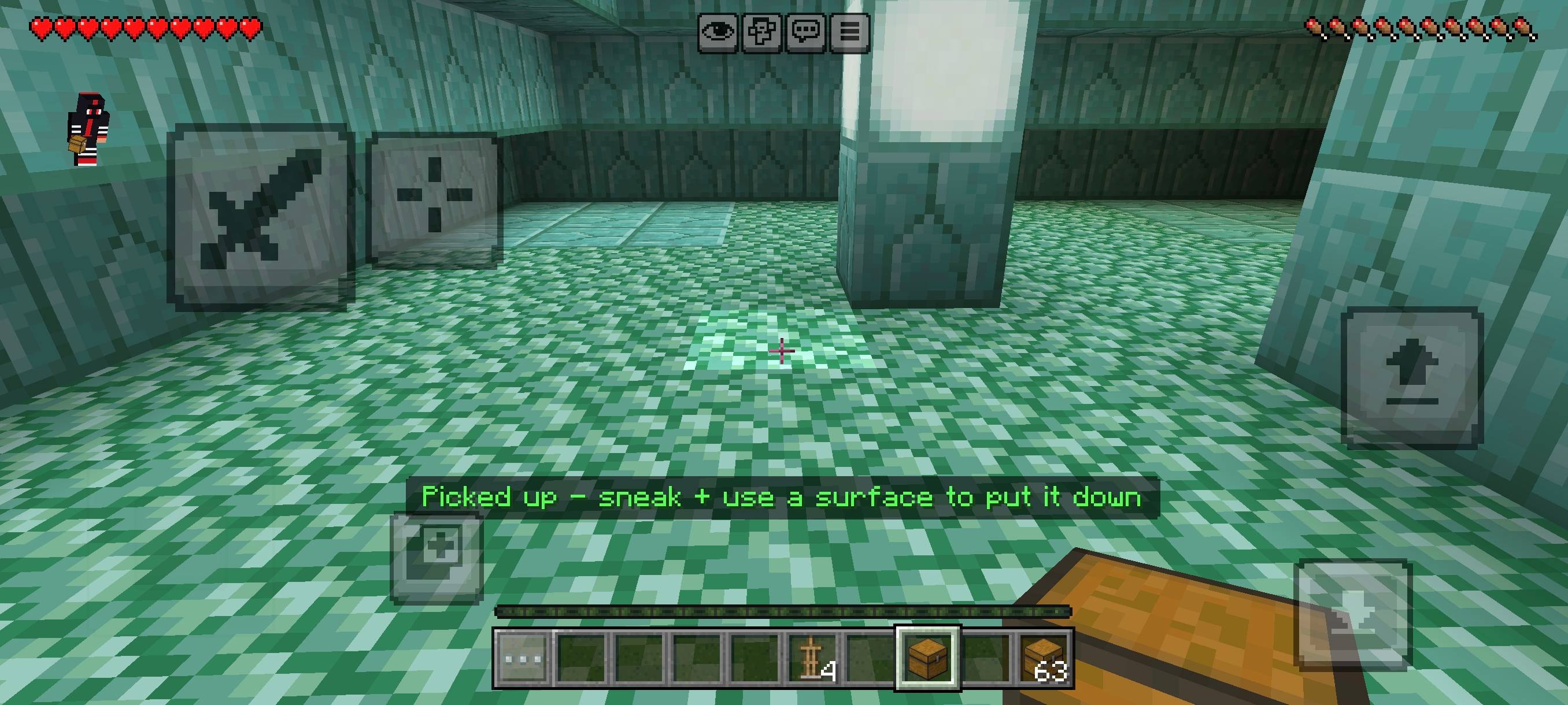 Chest carrier_fs-here — screenshot 2