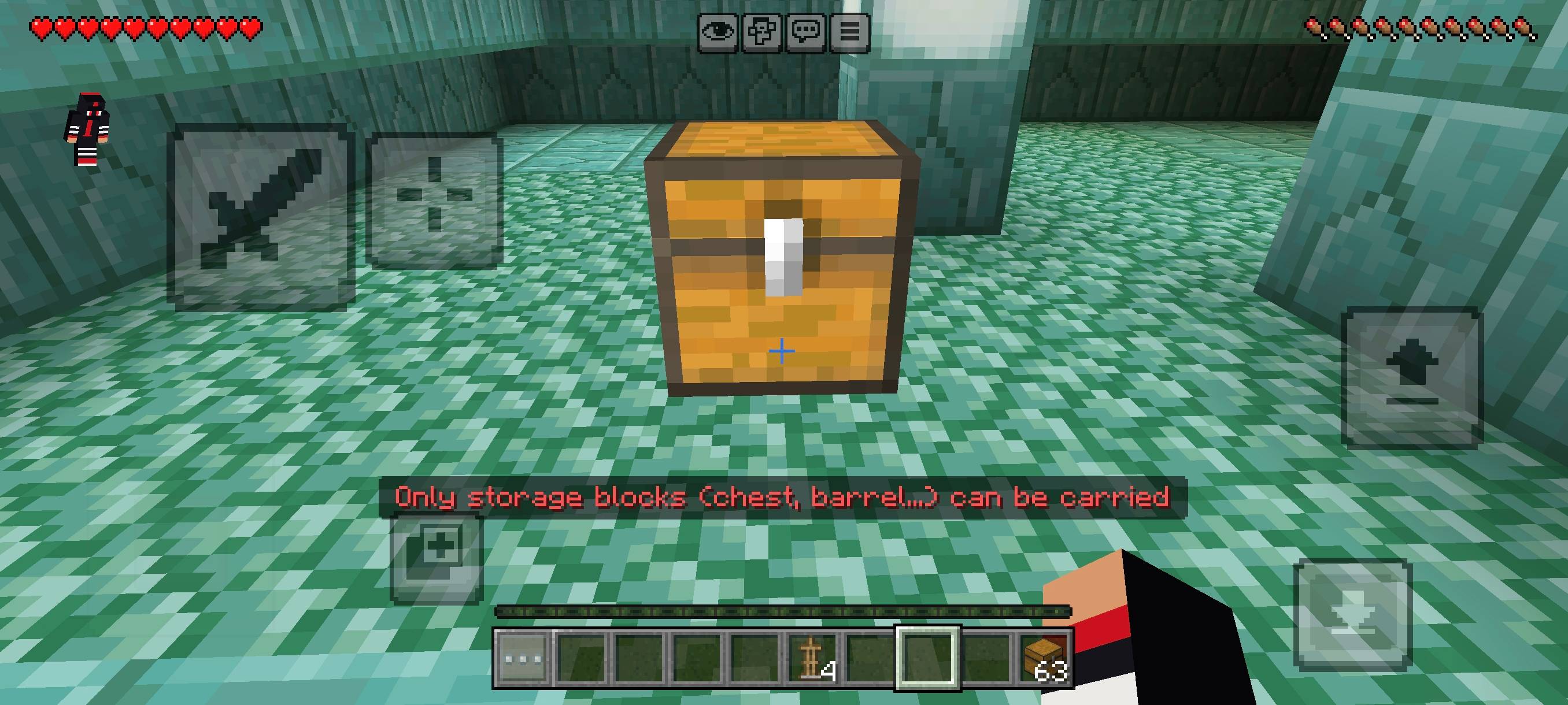 Chest carrier_fs-here — screenshot 3