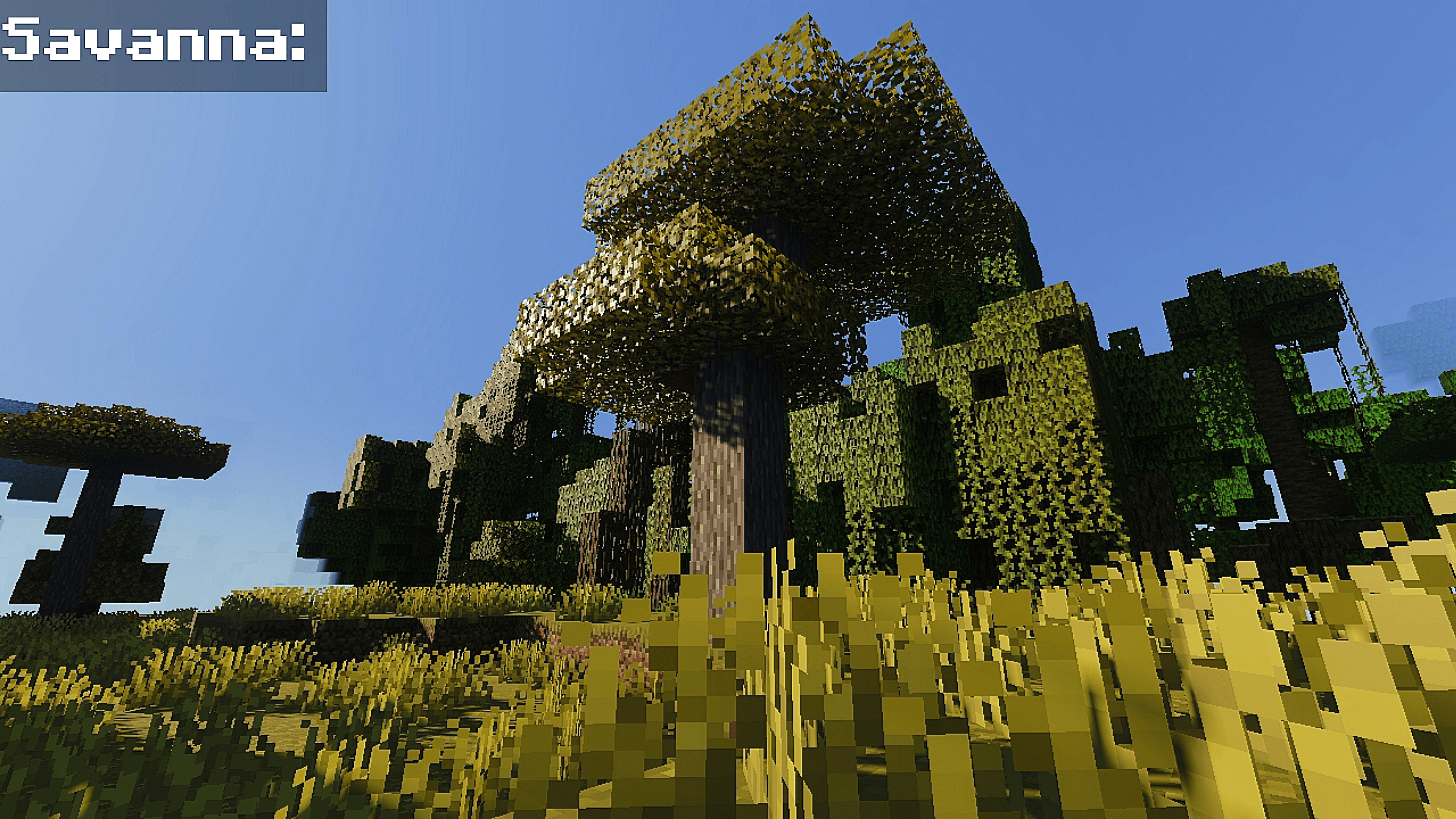 Pardex — screenshot 3