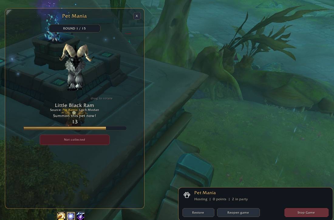 Pet.jpg