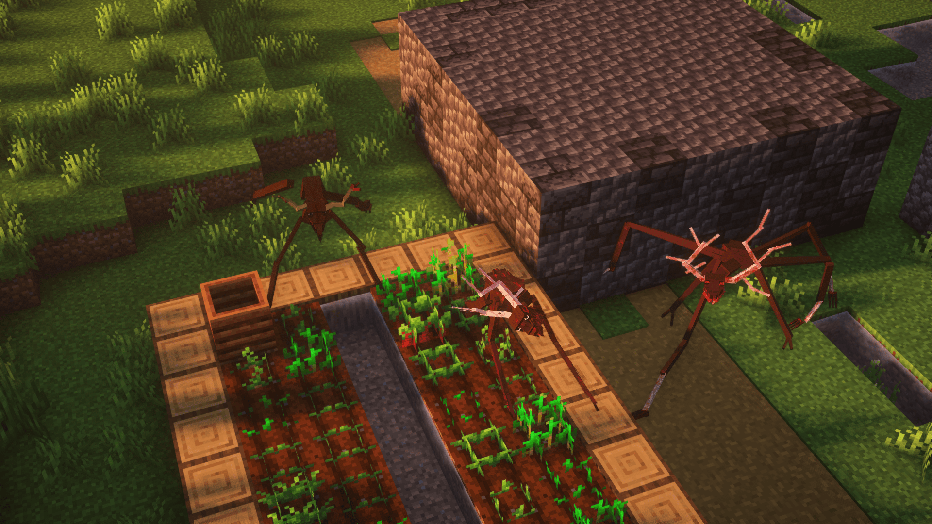 Deers