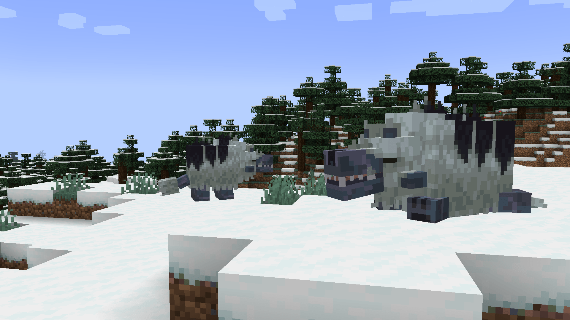 Thumbnail Two burodons resting in the snow