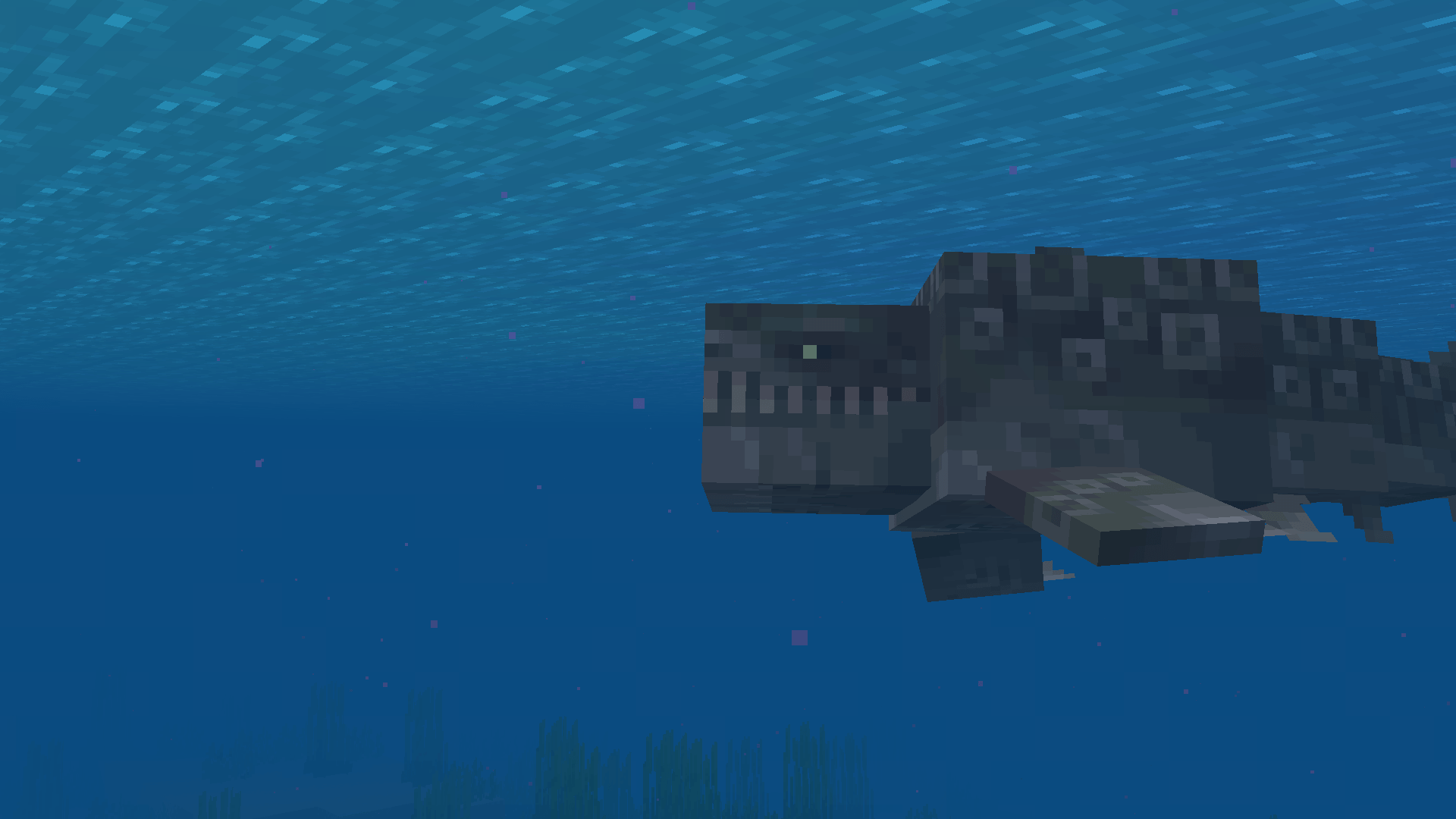 Thumbnail A spotted striker patrolling a lukewarm ocean
