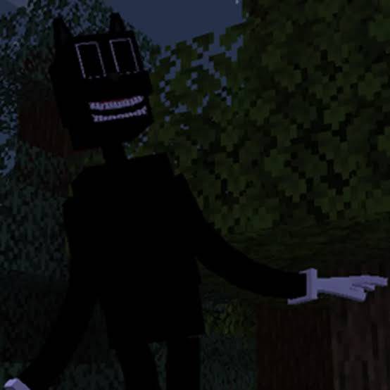 pack.jpg