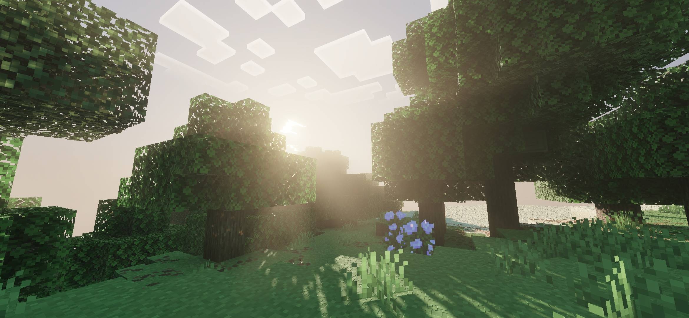 Vibrant Life Shaders thumbnail 1