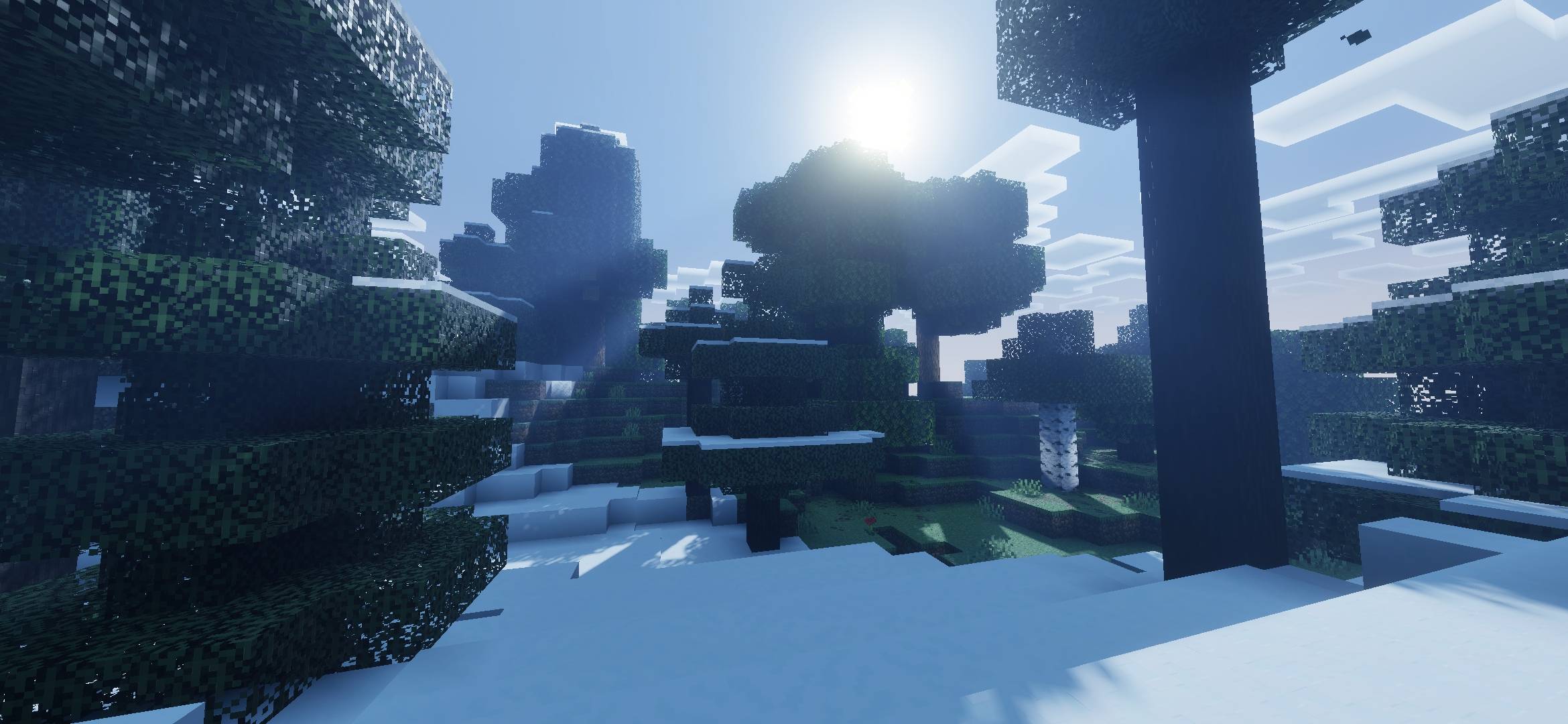 Vibrant Life Shaders screenshot active