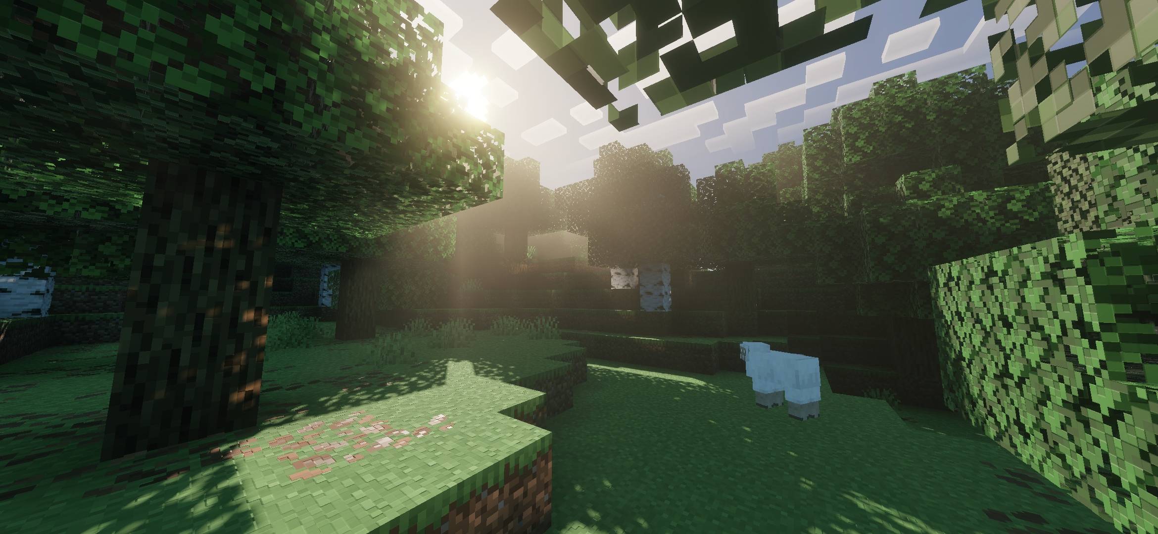 Vibrant Life Shaders thumbnail 5
