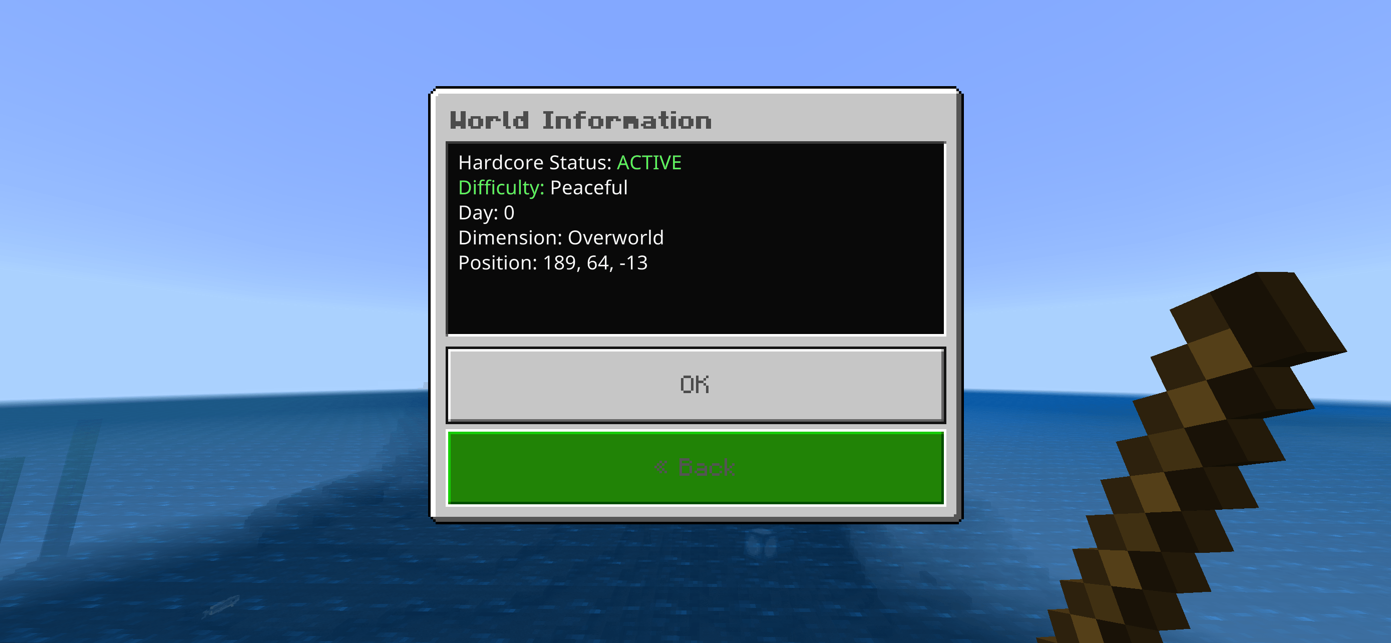 Thumbnail World information panel displaying Hardcore status, current difficulty, world day, dimension, and player coordinates.