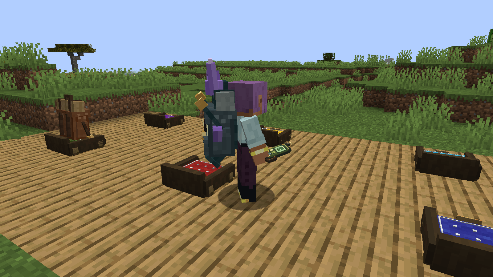 02-carry-your-companion.png