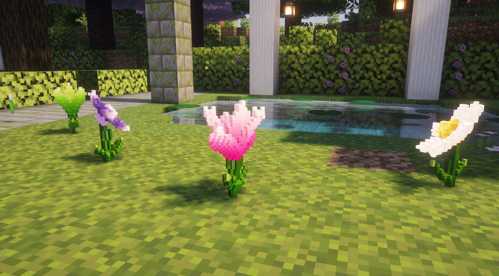 Fallen Kanade in the pond garden