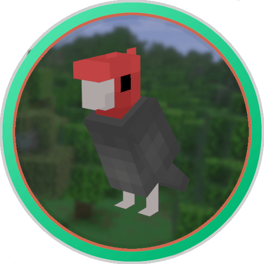 Gang-Gang Cockatoo