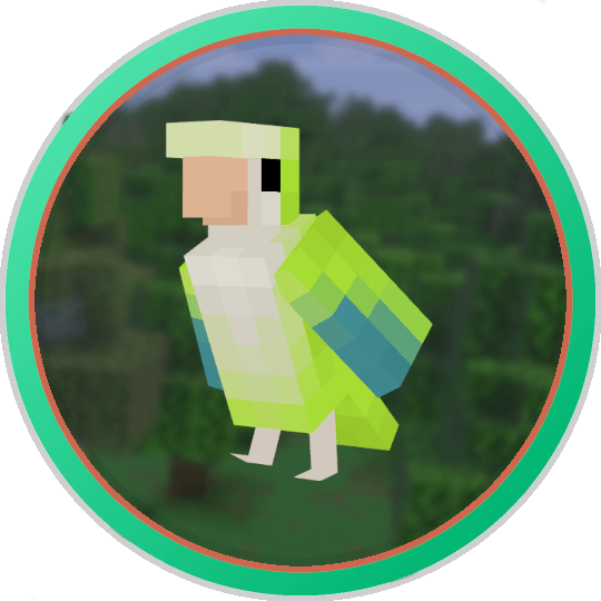 Green Monk Parrot