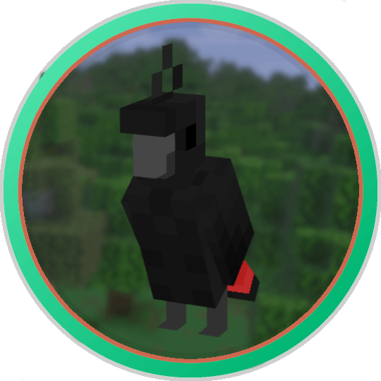 Red-Tailed Black Cockatoo