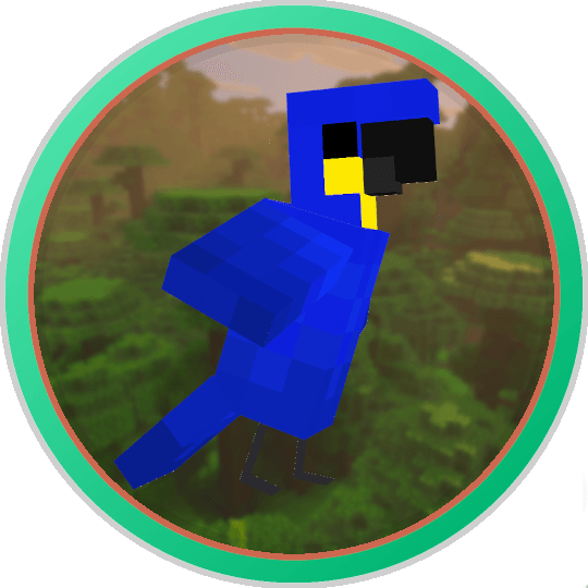 Hyacinth Macaw